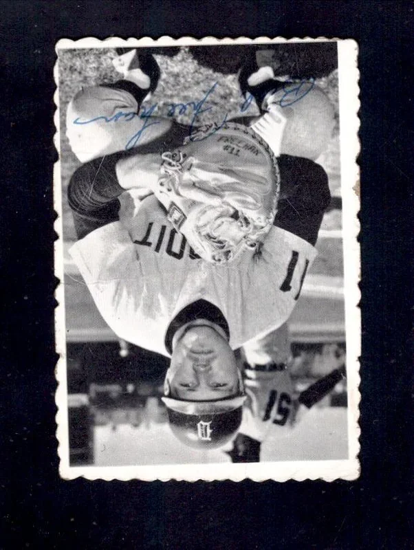 1969 Bill Freehan Topps Deckle Edge #10 Tigers Baseball Card