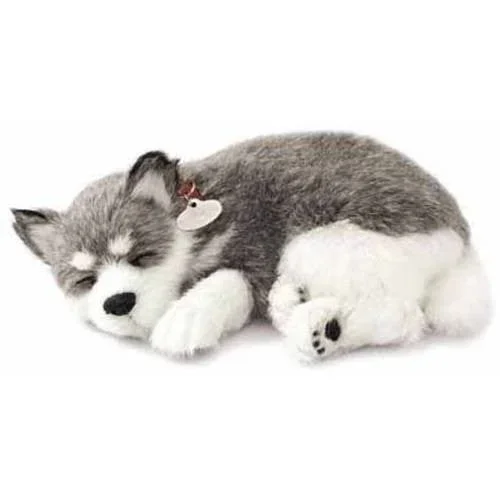 Alaskan Husky Perfect Petzzz