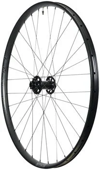 Arch MK4 Front Wheel – 29, 15 x 110mm