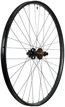 Arch MK4 Rear Wheel – 29, 12 x 157mm, 6-Bolt