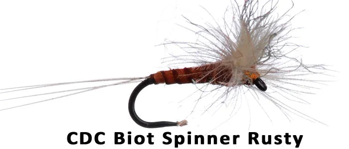 CDC Biot Spinner Rusty