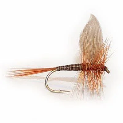 Dads Favourite Fly