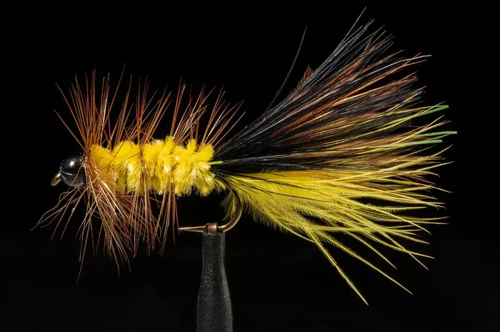 Manic Fly Collection – BH Cleveland Streamer #8