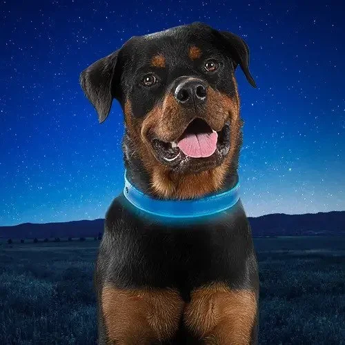 Nite Ize NiteDog Rechargable Led Collar