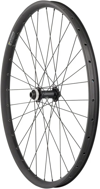 Shimano Deore / Alex EM30 Disc Front Wheel – 29″ 15 x 110mm Center-Lock BLK