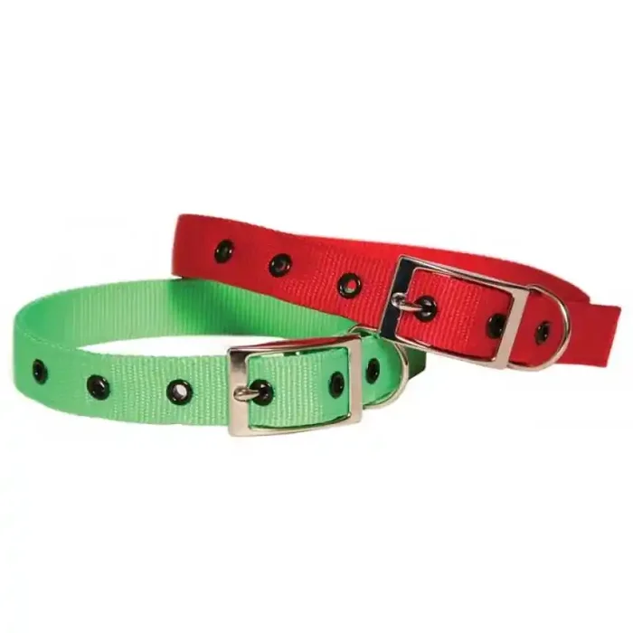 Taurus Nylon Heavy Duty Collar
