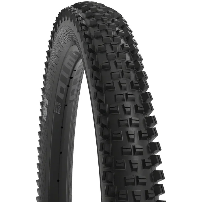 Trail Boss Mountain Bike Tire – 29 x 2.4, TCS Tubeless, Black, Light/Fast Rolling, Dual DNA, SG2