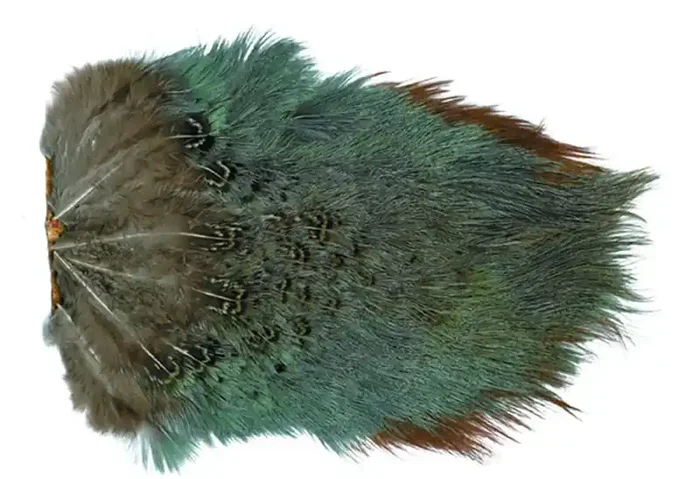 Wapsi Ringneck Rump Patch Natural