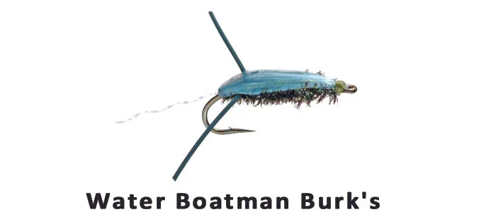 Water Boatman Burks #12